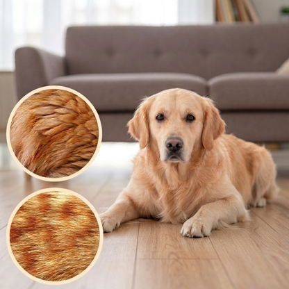 Brosse à vapeur pour Chien & Chat